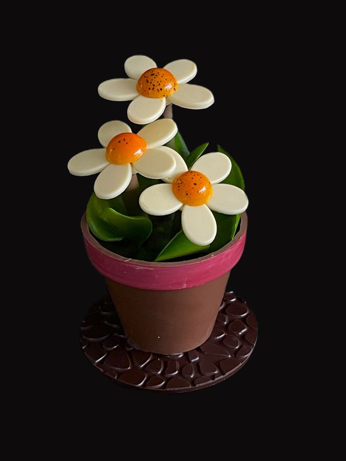 Flower Pot