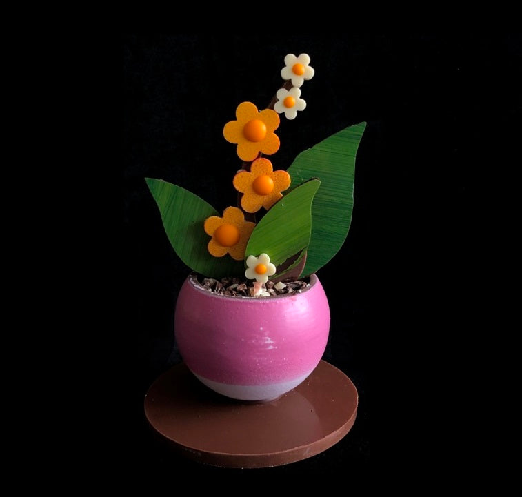 Small Vase with daisy flowers