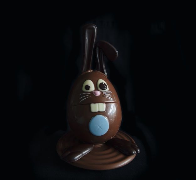 Bucky Bunny