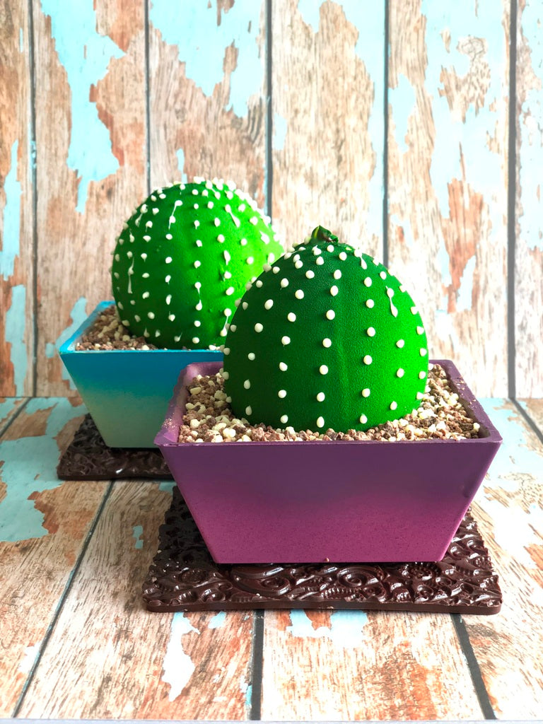 Chocolate Cactus