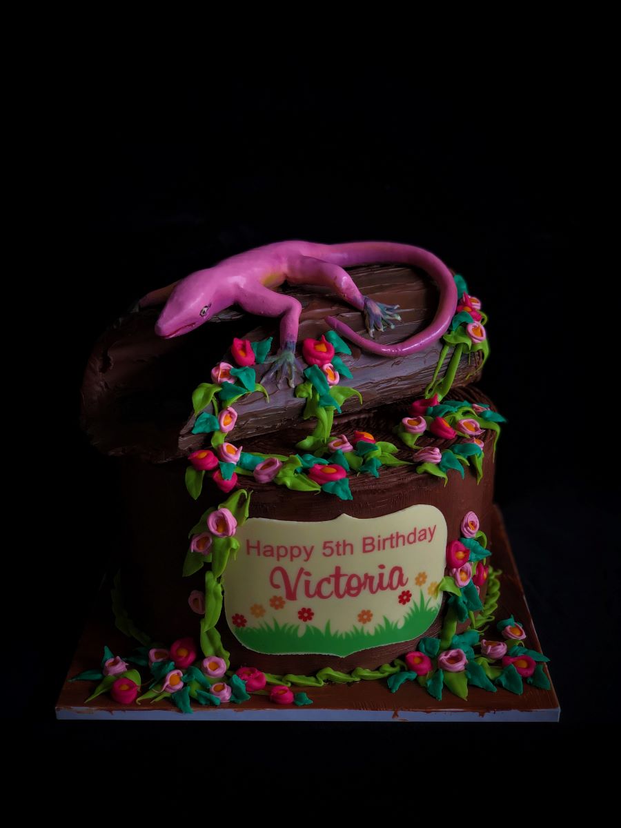 Pink Lizard Smash Cake