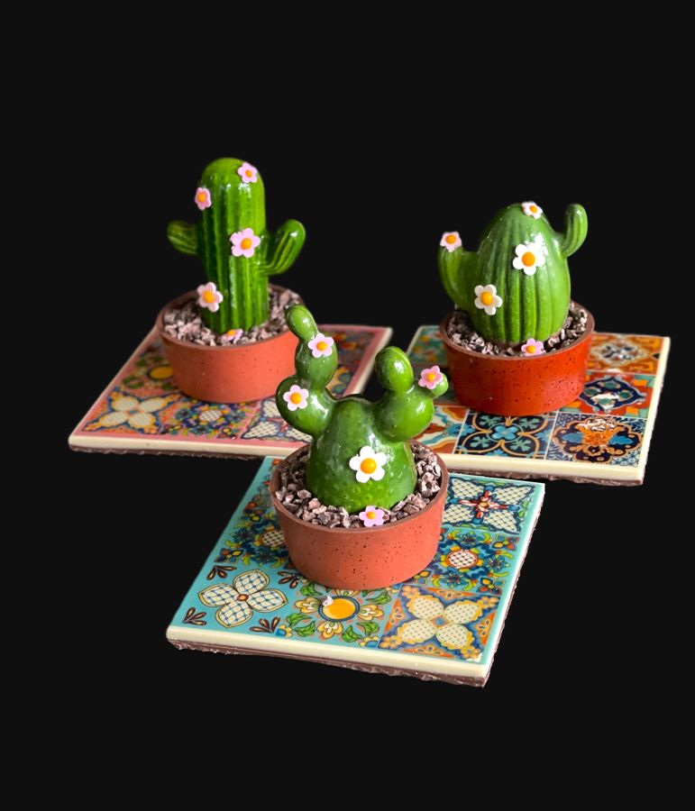 Chocolate Cactus – Essenze Chocolates