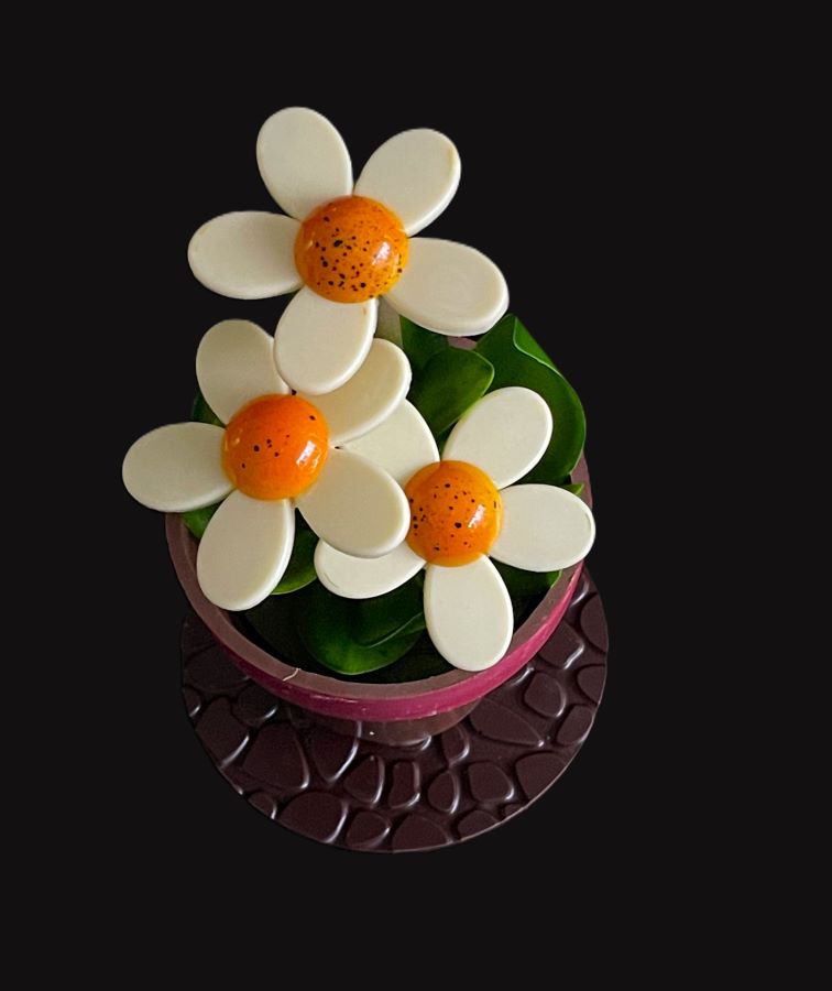Flower Pot