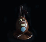 Bucky Bunny