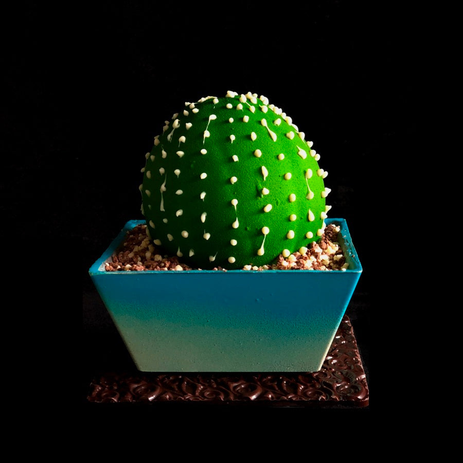 Chocolate Cactus – Essenze Chocolates